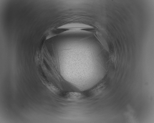 X0000074030429200609061146