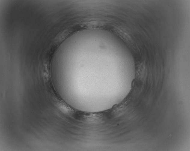 X0000074030430200609061146