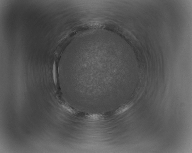 X0000074030432200609061146