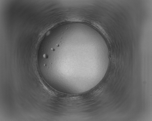 X0000074030433200609061145