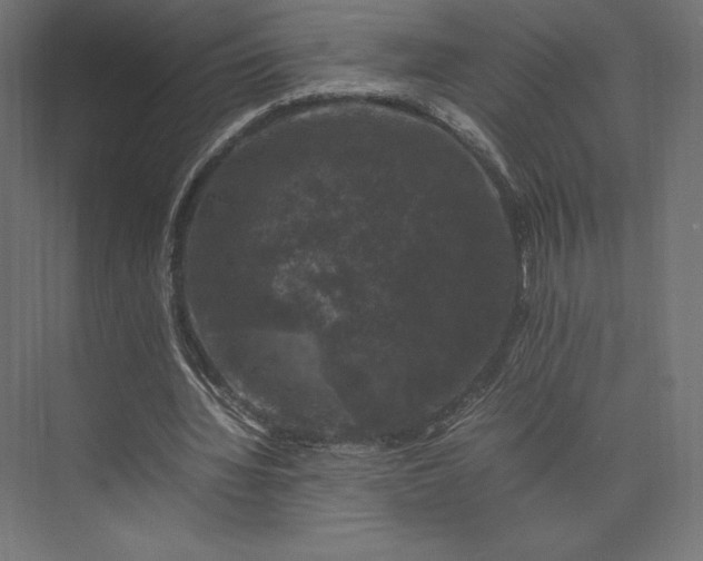 X0000074030436200609061146