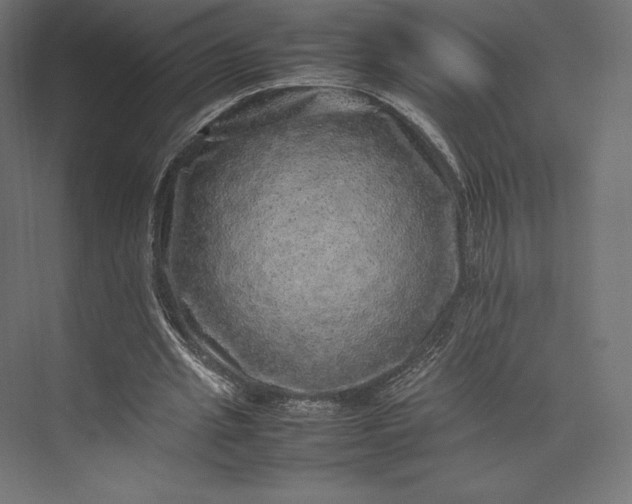 X0000074030437200609061146