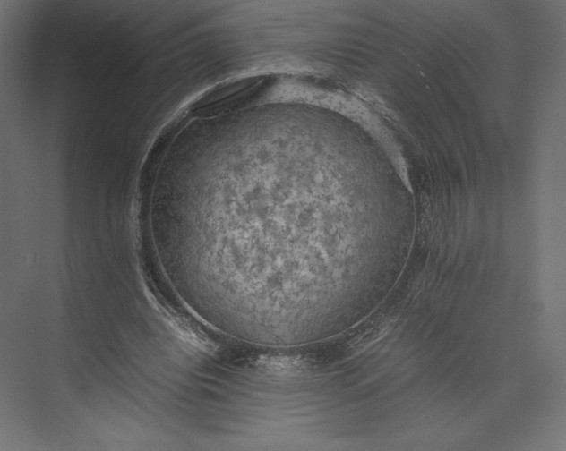 X0000074030440200609061146