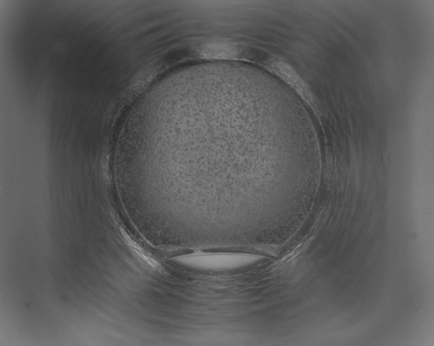 X0000074030441200609061146