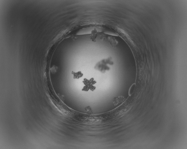 X0000074030443200609061146