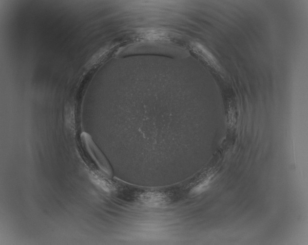 X0000074030444200609061146