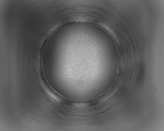 X0000074030445200609061146