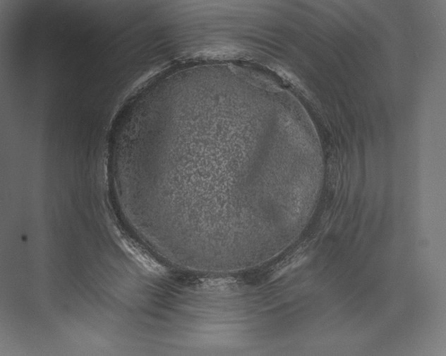 X0000074030446200609061146