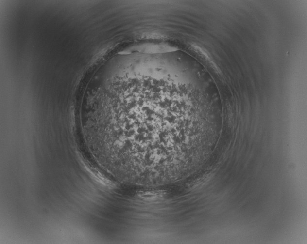 X0000074030447200609061146