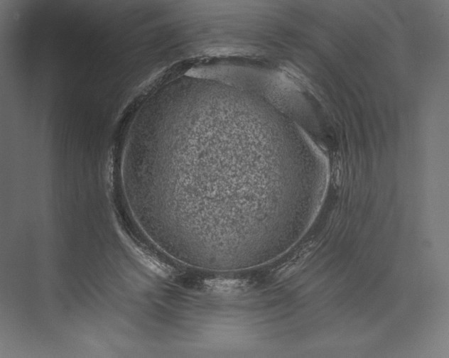 X0000074030448200609061146