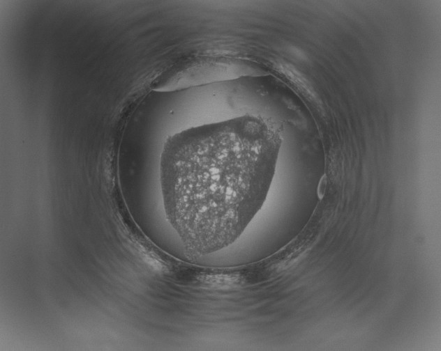 X0000074030449200609061146