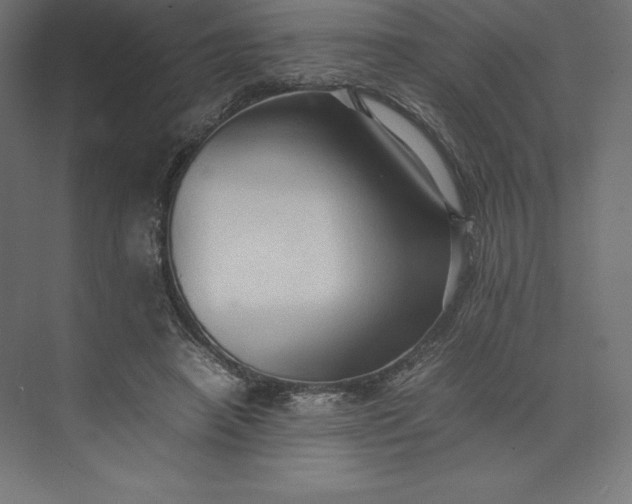 X0000074030450200609061146