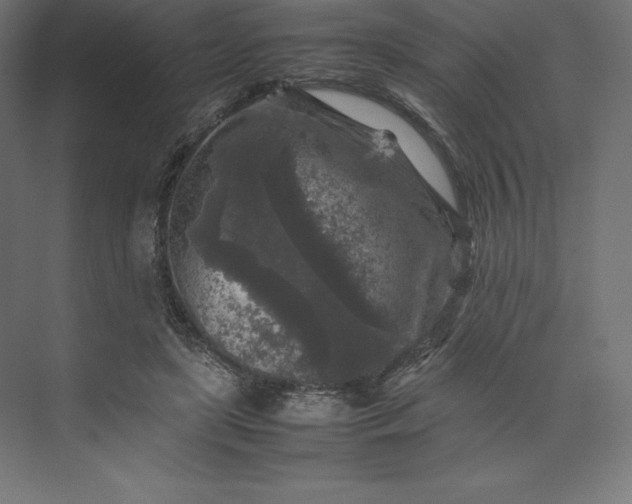 X0000074030451200609061146