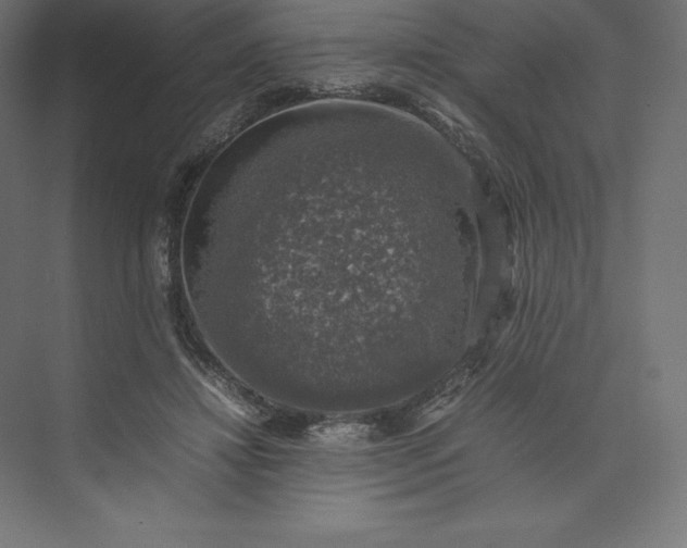 X0000074030452200609061146