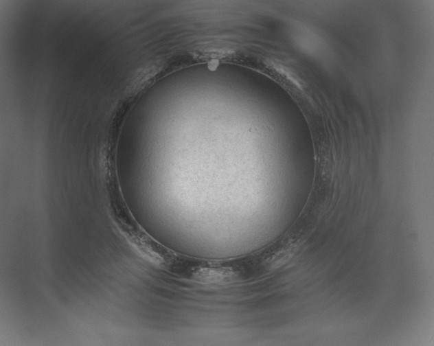 X0000074030455200609061146