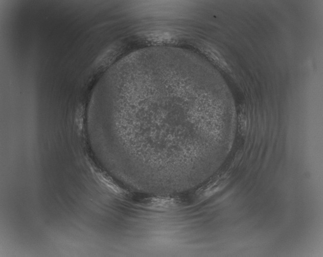 X0000074030458200609061146