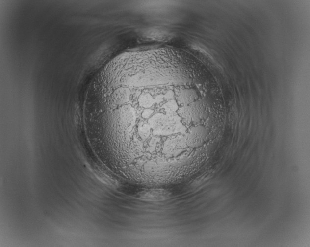 X0000074030459200609061146