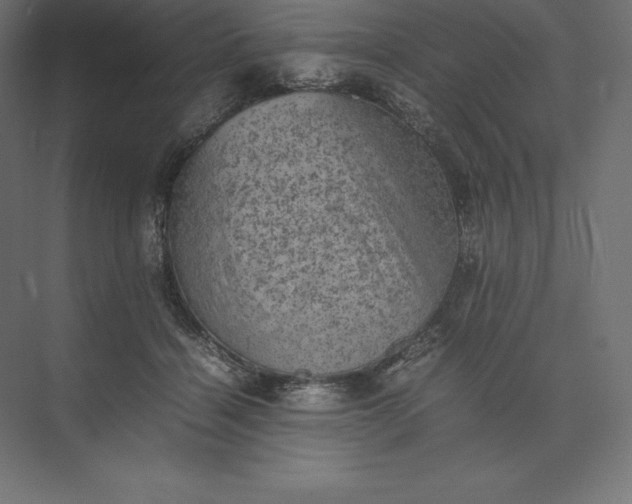 X0000074030460200609061146