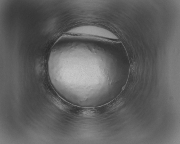 X0000074030462200609061146