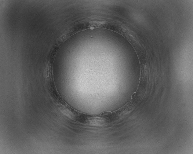 X0000074030463200609061146