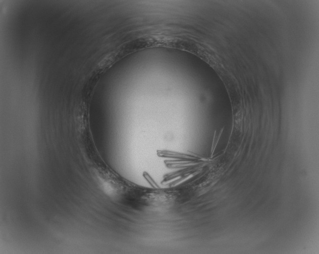 X0000074030464200609061146