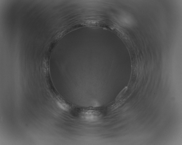 X0000074030467200609061146