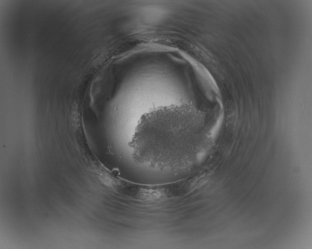 X0000074030469200609061146