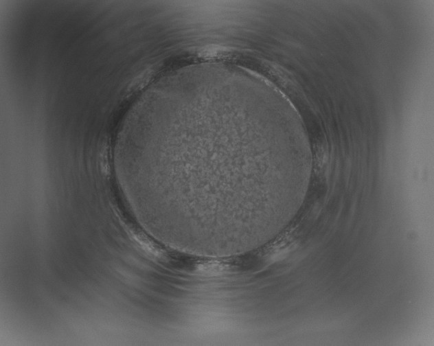 X0000074030470200609061146