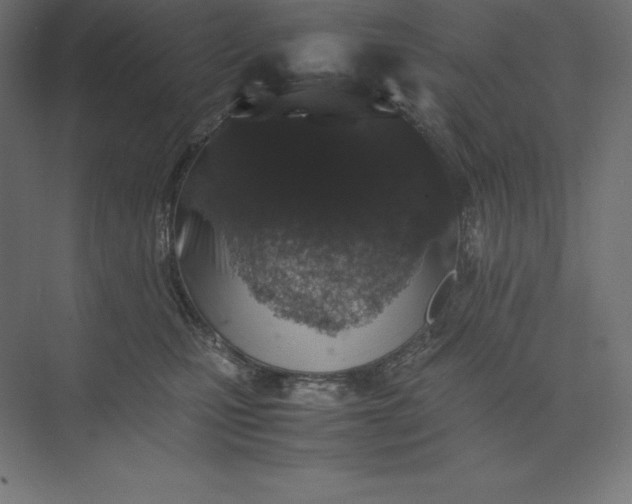 X0000074030471200609061146