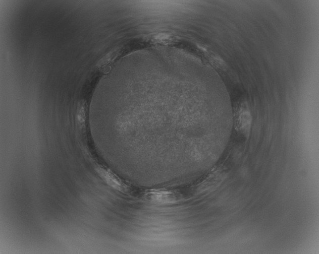 X0000074030472200609061146