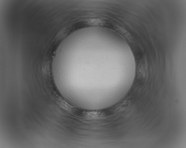 X0000074030473200609061146