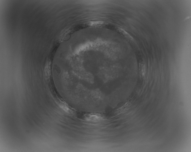 X0000074030475200609061146