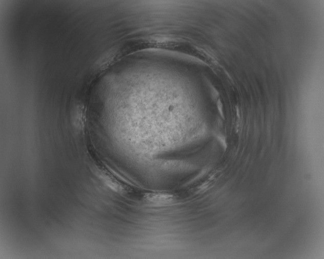 X0000074030476200609061146