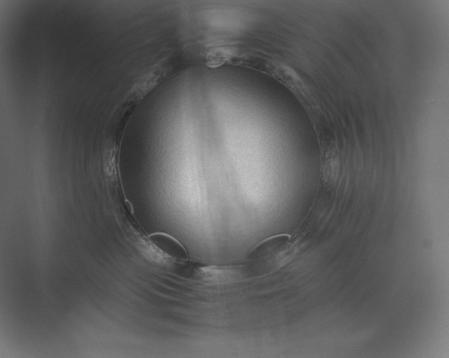 X0000074030477200609061146