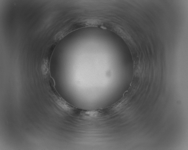 X0000074030478200609061146