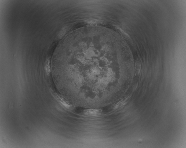 X0000074030479200609061146