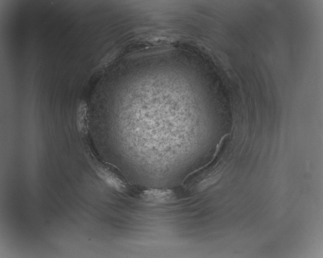 X0000074030480200609061146