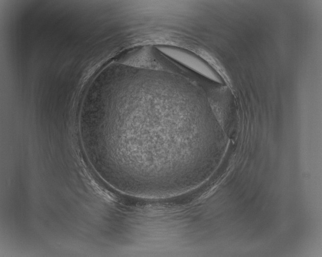 X0000074030481200609061145