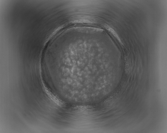 X0000074030482200609061145