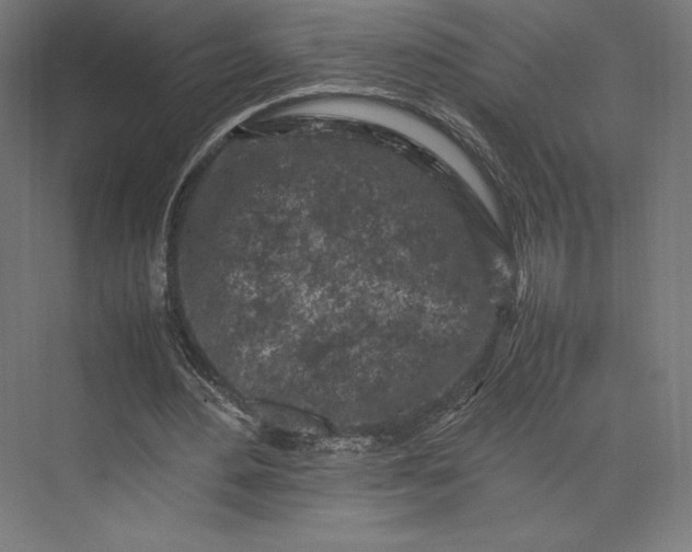 X0000074030484200609061145