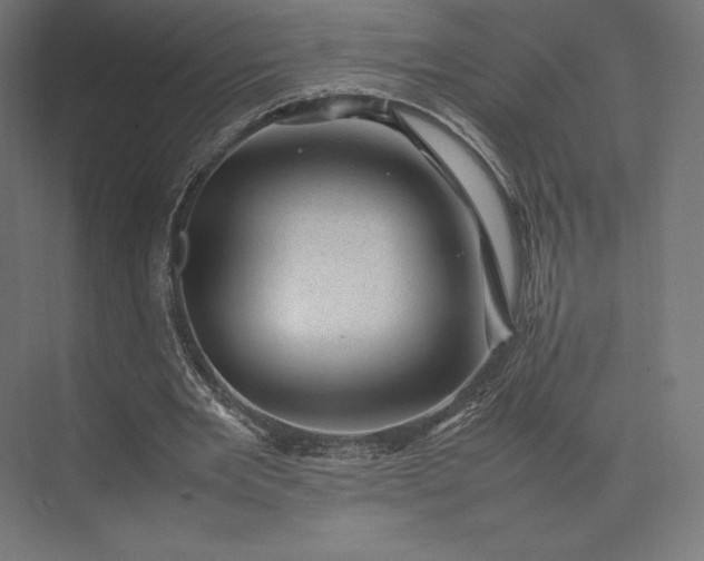 X0000074030485200609061145