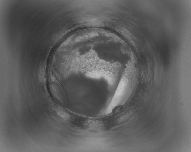 X0000074030487200609061145