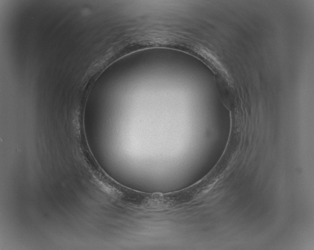 X0000074030489200609061145