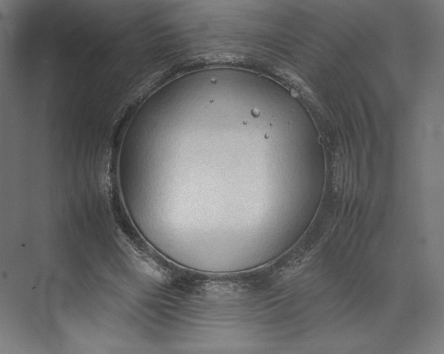 X0000074030490200609061145