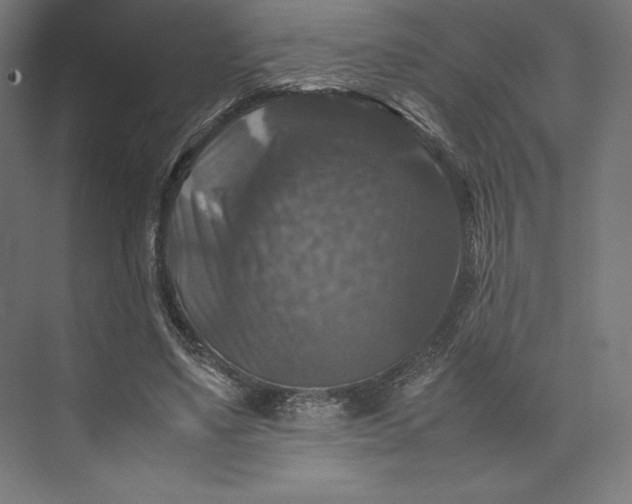 X0000074030491200609061145