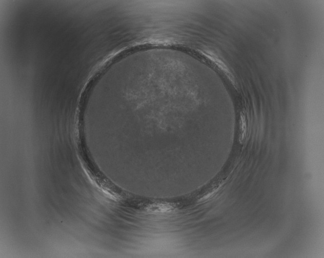 X0000074030492200609061145