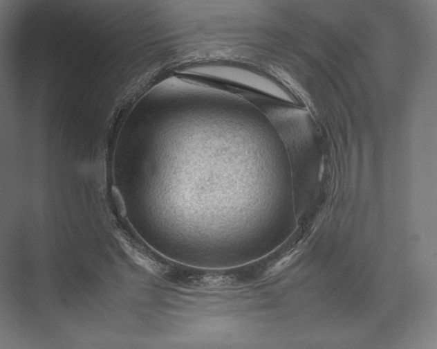 X0000074030493200609061145