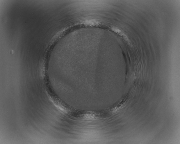 X0000074030496200609061145