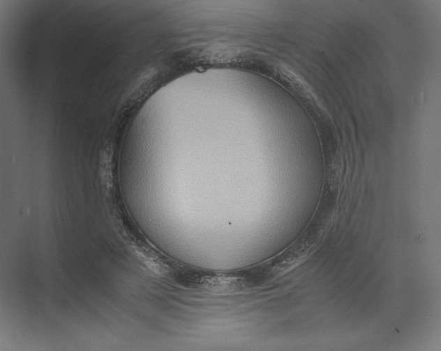 X0000074030497200609061145