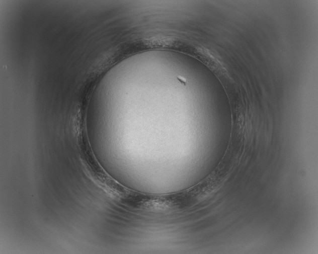 X0000074030498200609061145